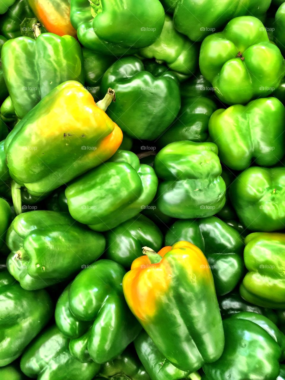 View of green bell pepper