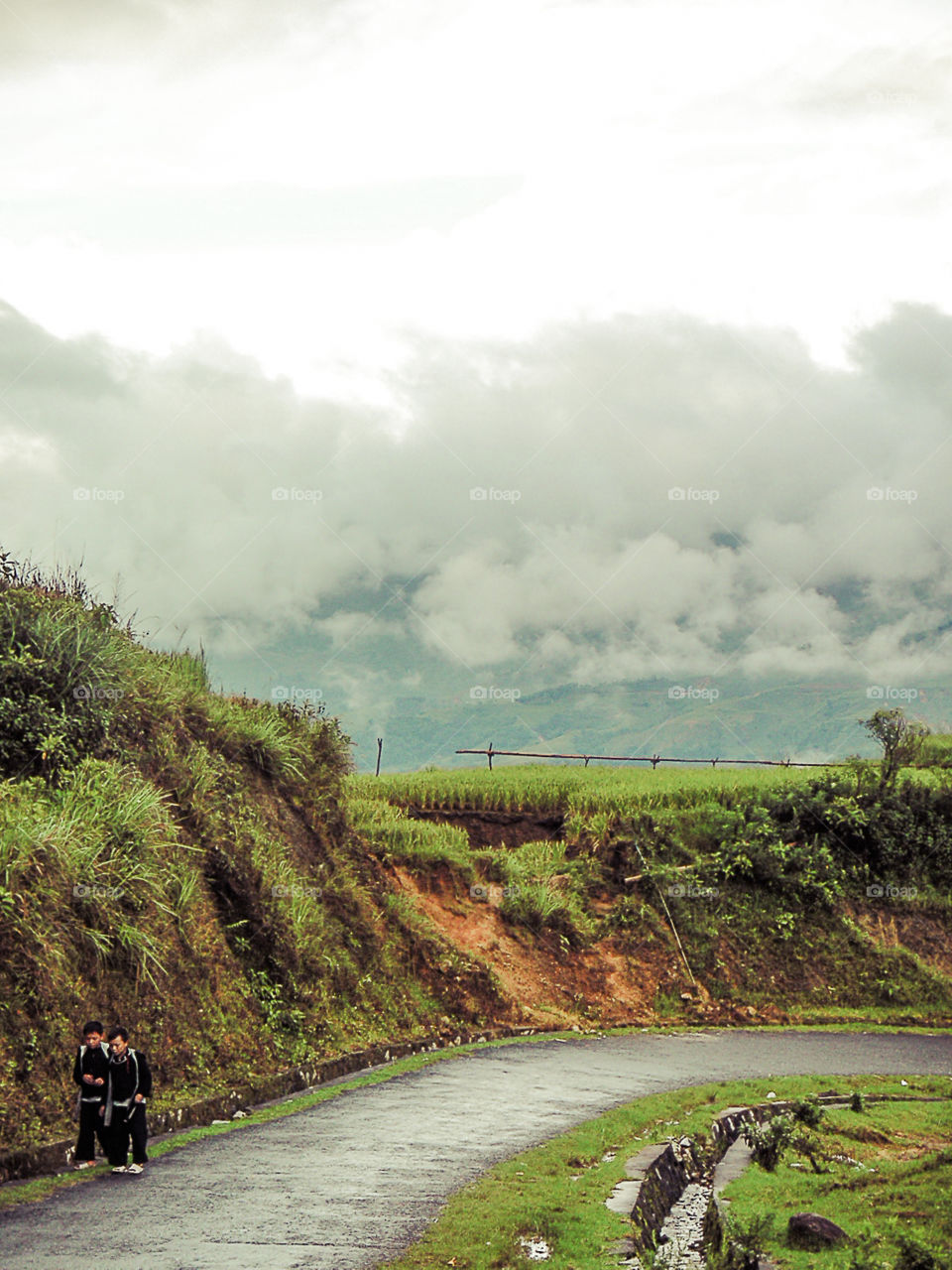 Road in Sapa