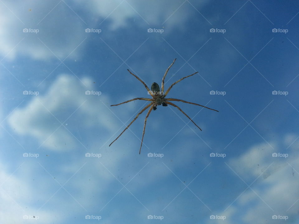 on my windscreen for the ride!