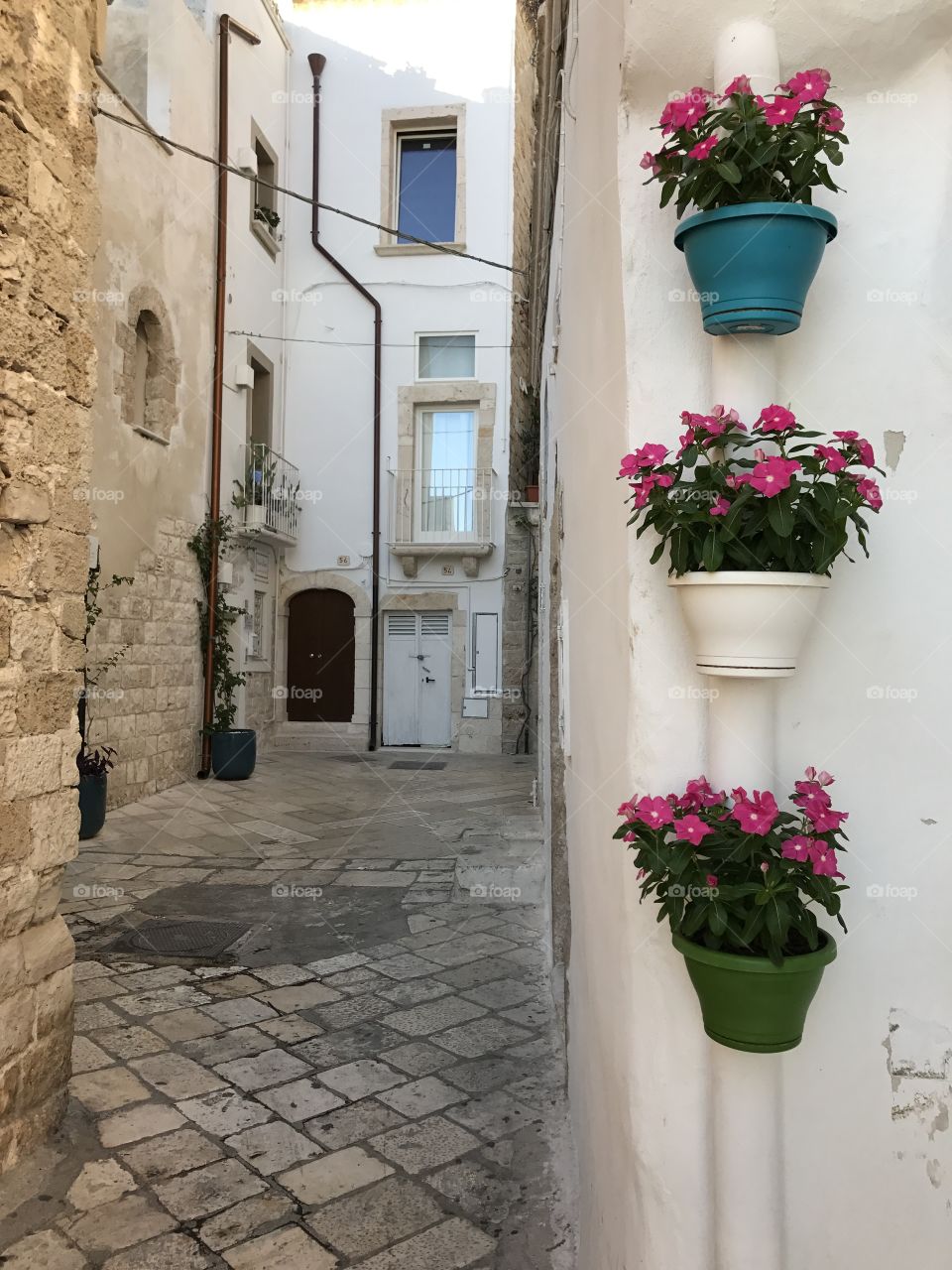 Cityscape with flowers, Polignano a Mare, Italy