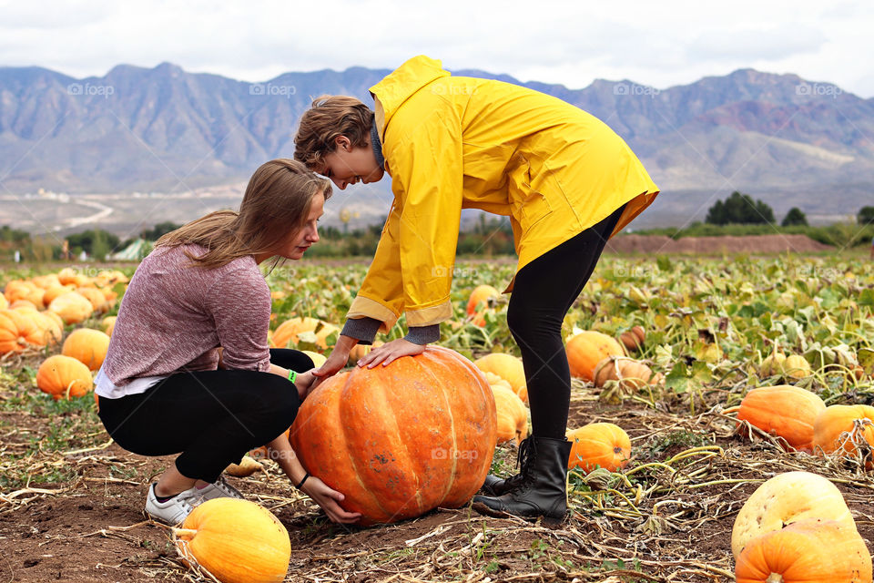 Pumpkins