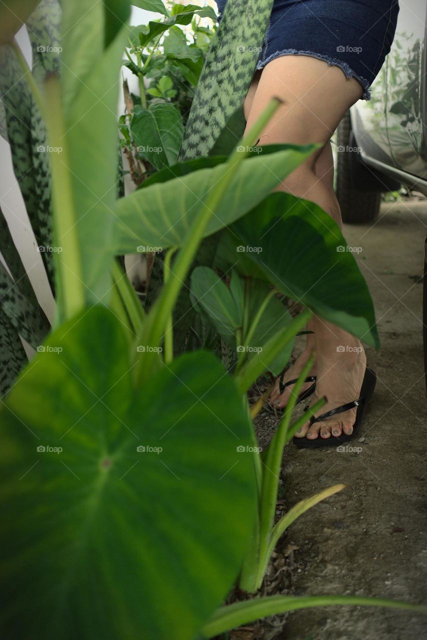 Legs of woman in the middle of garden plants