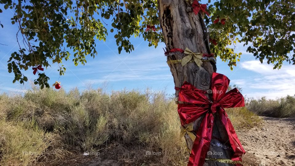 It's the most wonderful time of the year