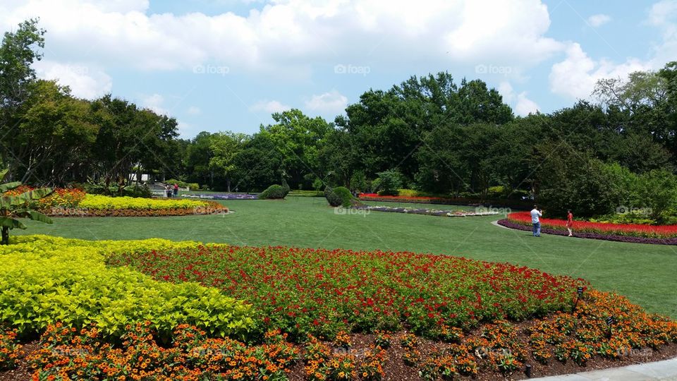 Acres of gardens and flowers