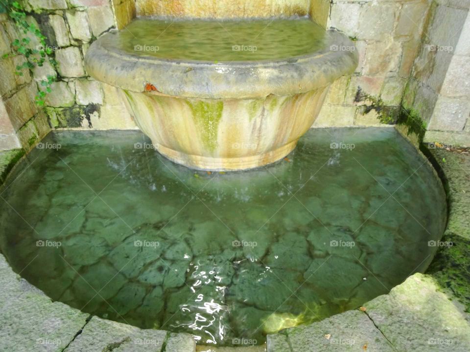 The fountain