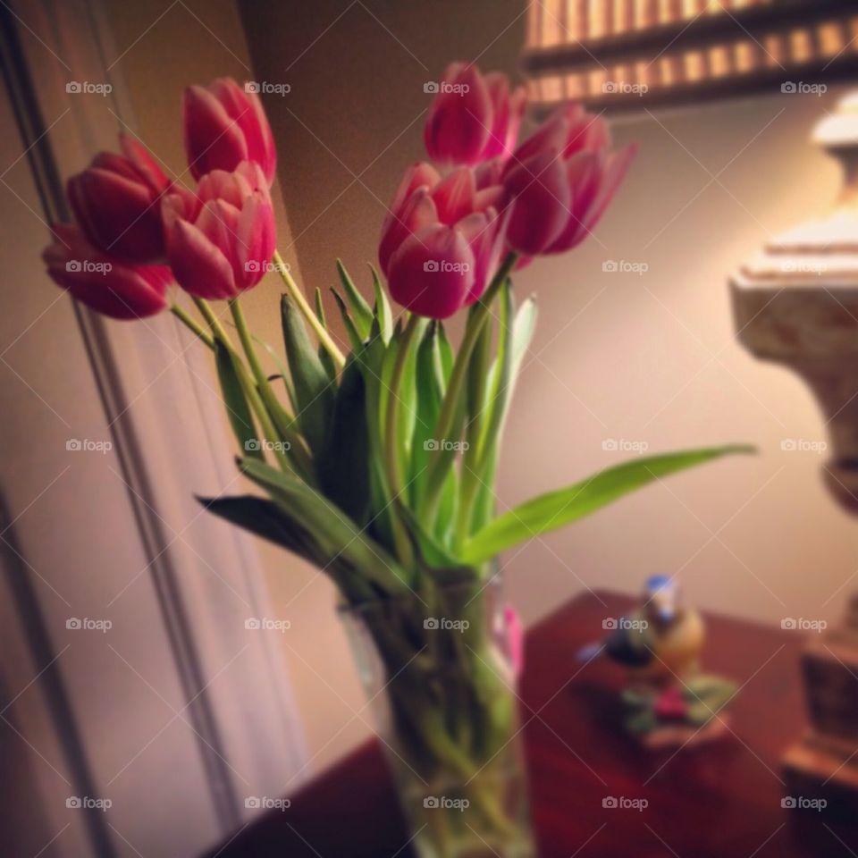 Guest Room Tulips