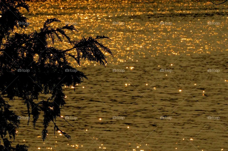 Sunset ripples on Lake