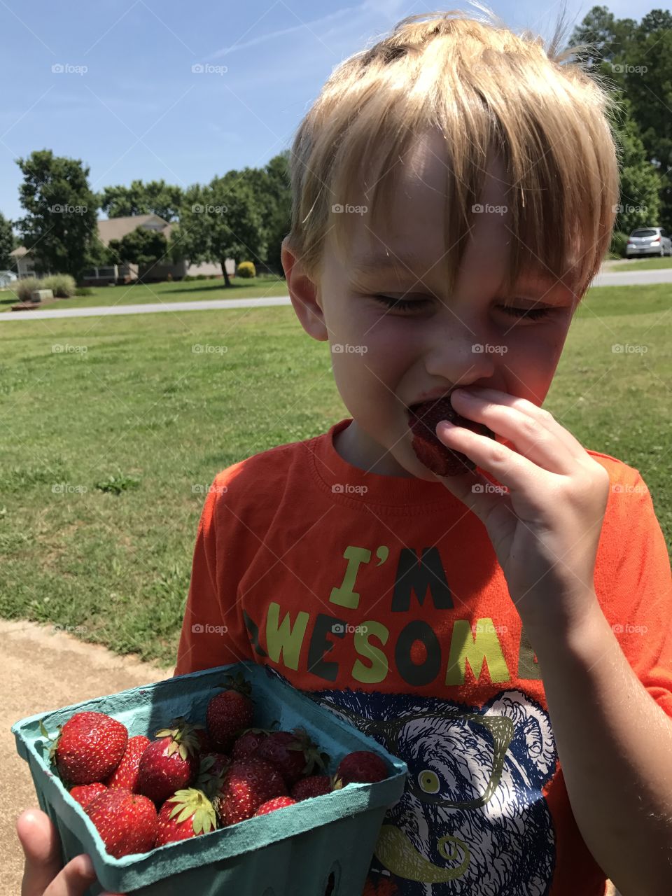 Summer mean strawberry time