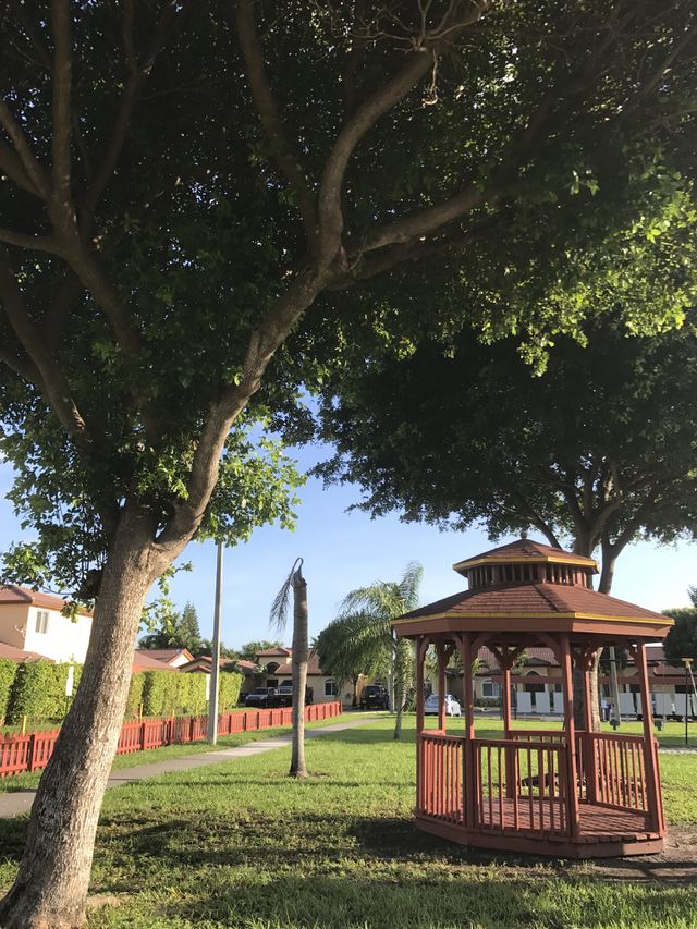A beautiful day