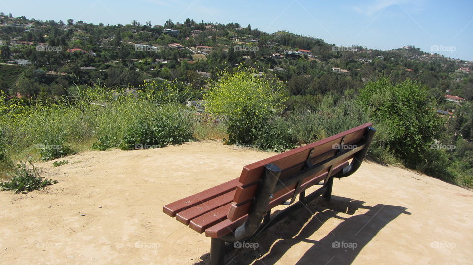 Bench on top of hill