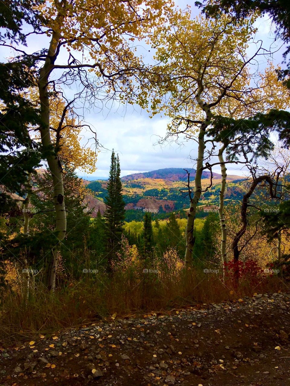 Colorful fall in Utah mountains! 