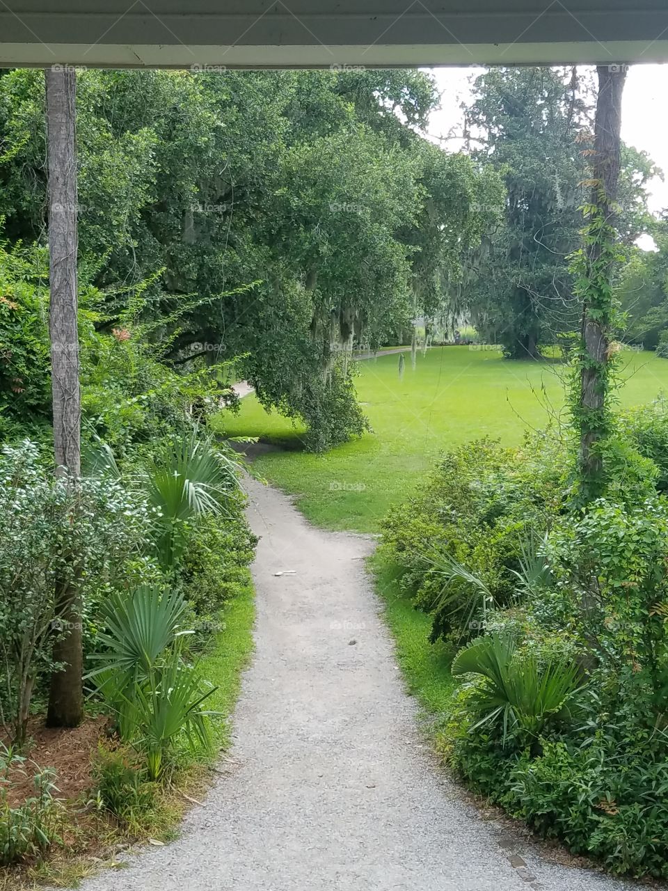 pathway from house