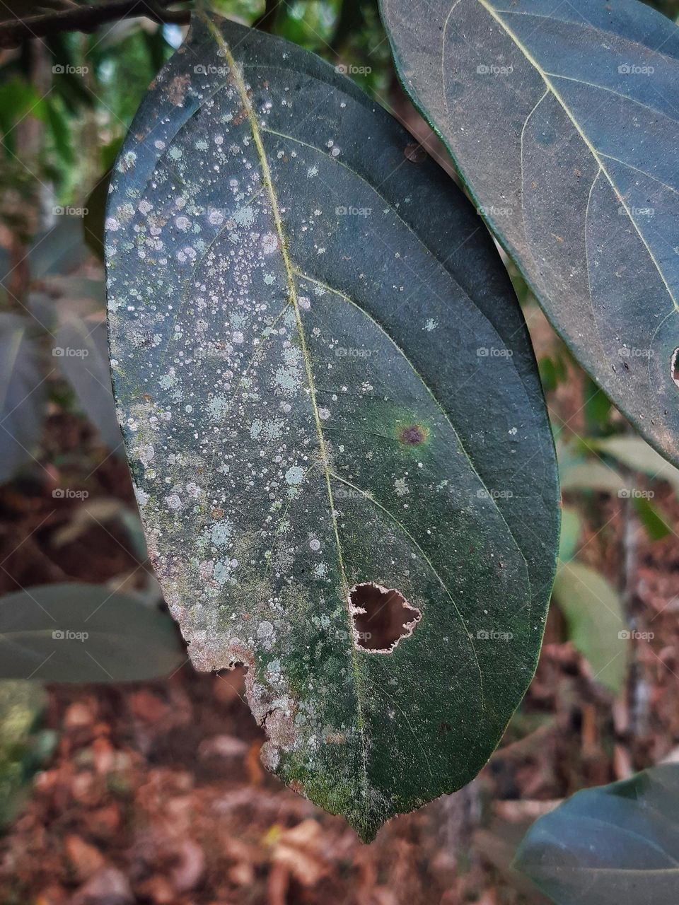 Beauty is everywhere