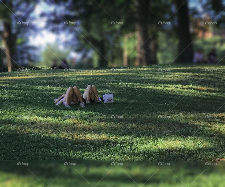 Tourists taking a break on the grass of Boston Commons on a pretty summer day. 
