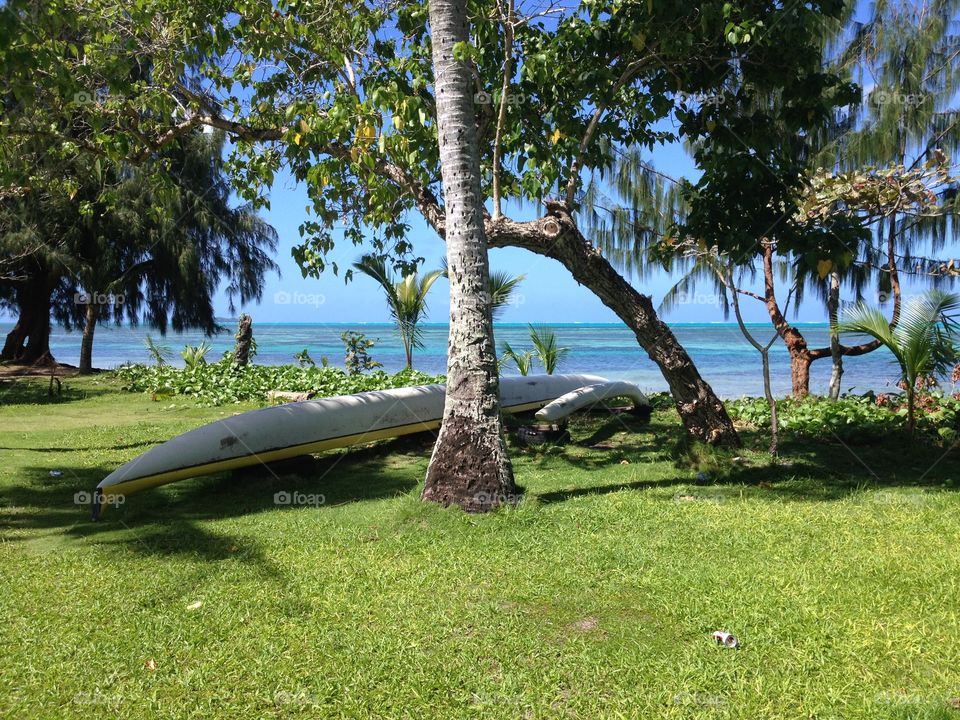 Canoe taken at Saipan, Mariana Islands