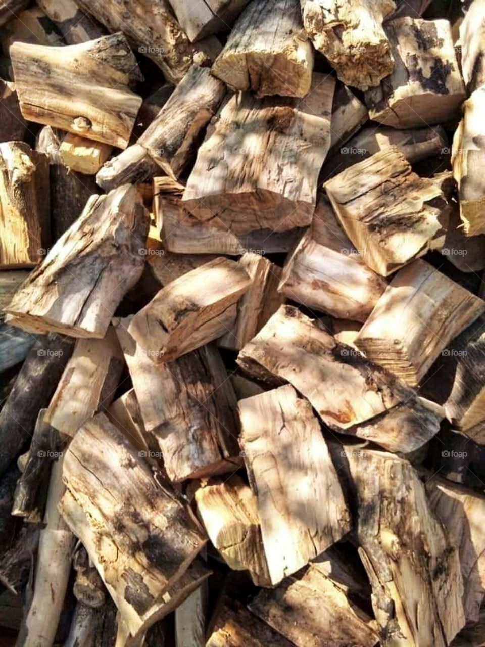 wood for fire