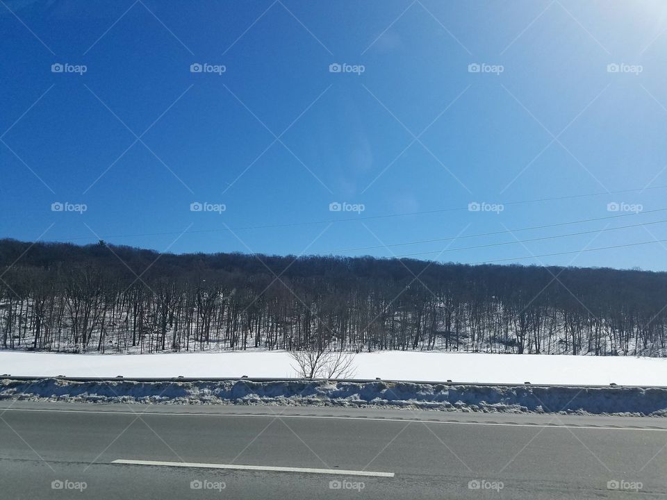 Winter, Snow, Landscape, Tree, No Person