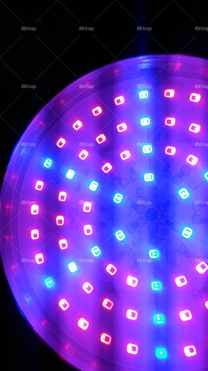 led grow light