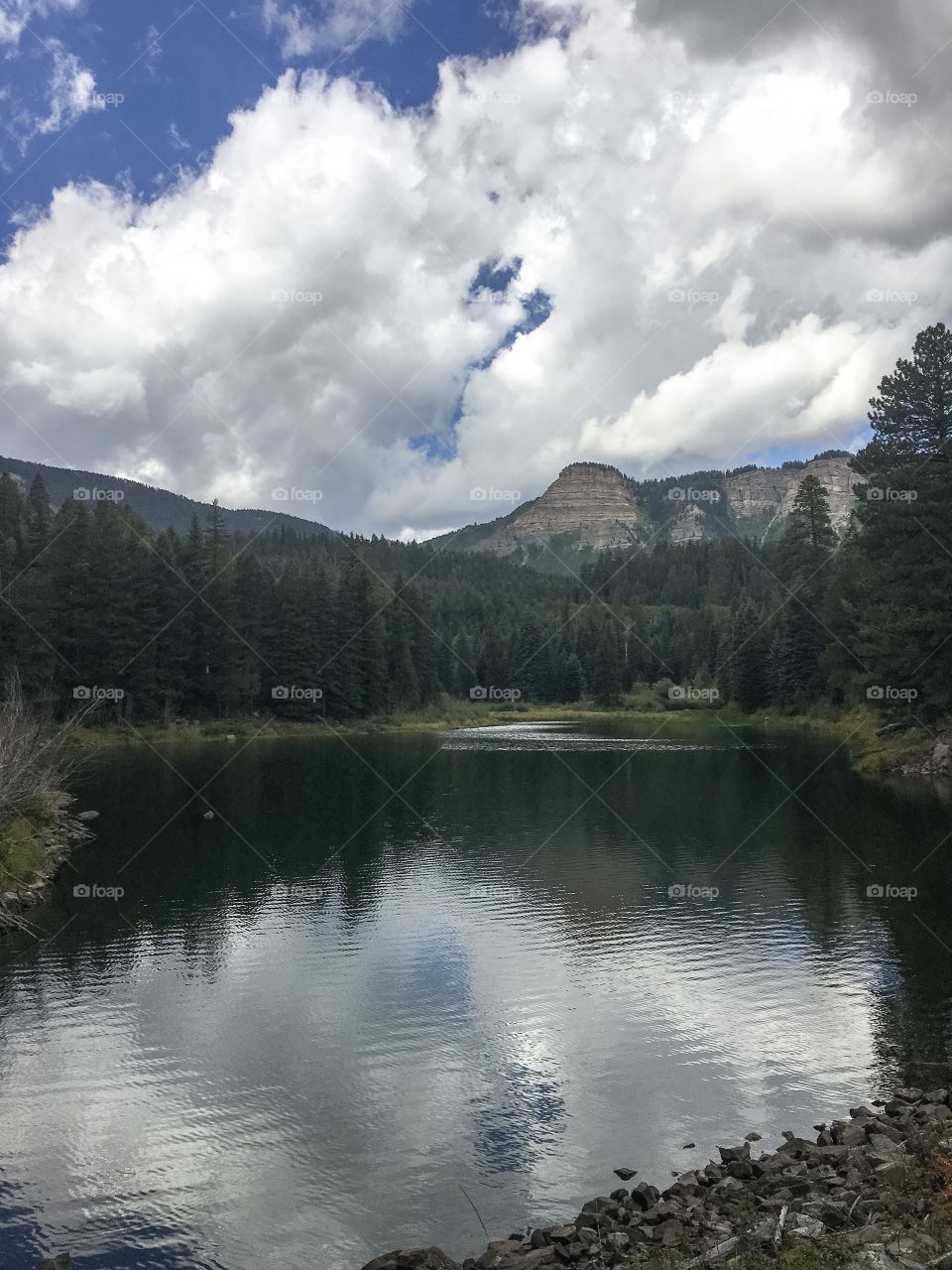 Mountain lake in the forest