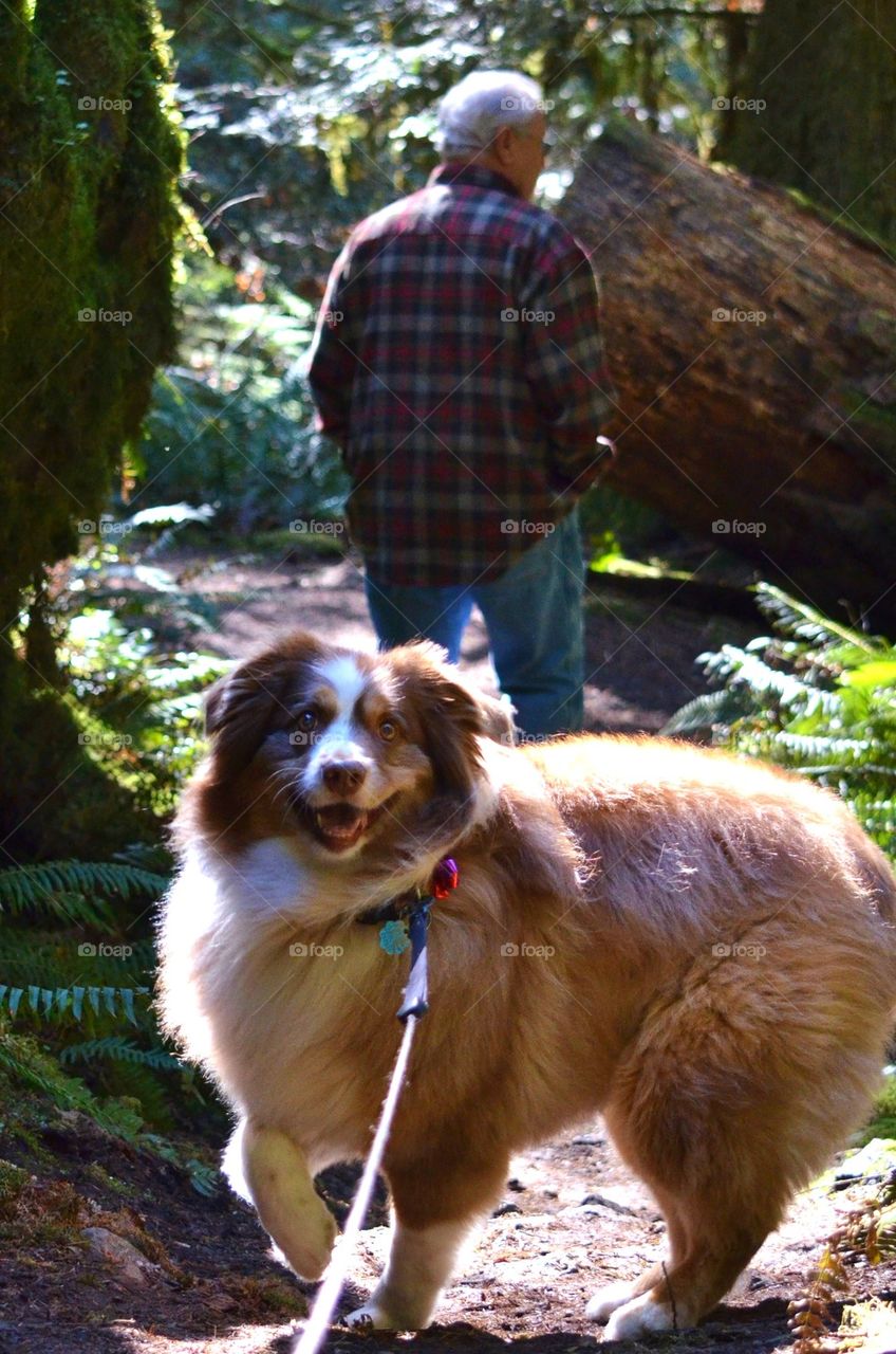 A man hiking in forest with a dog