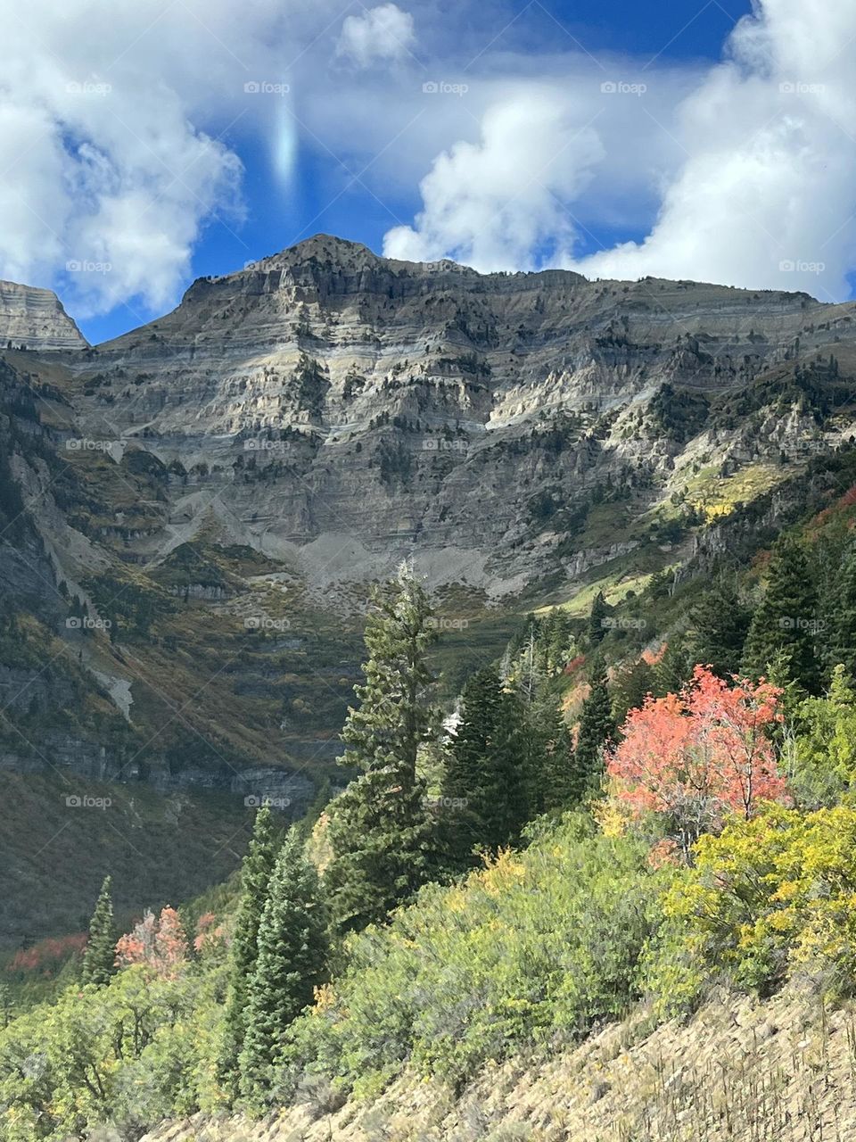 Beautiful Utah great picture to frame 