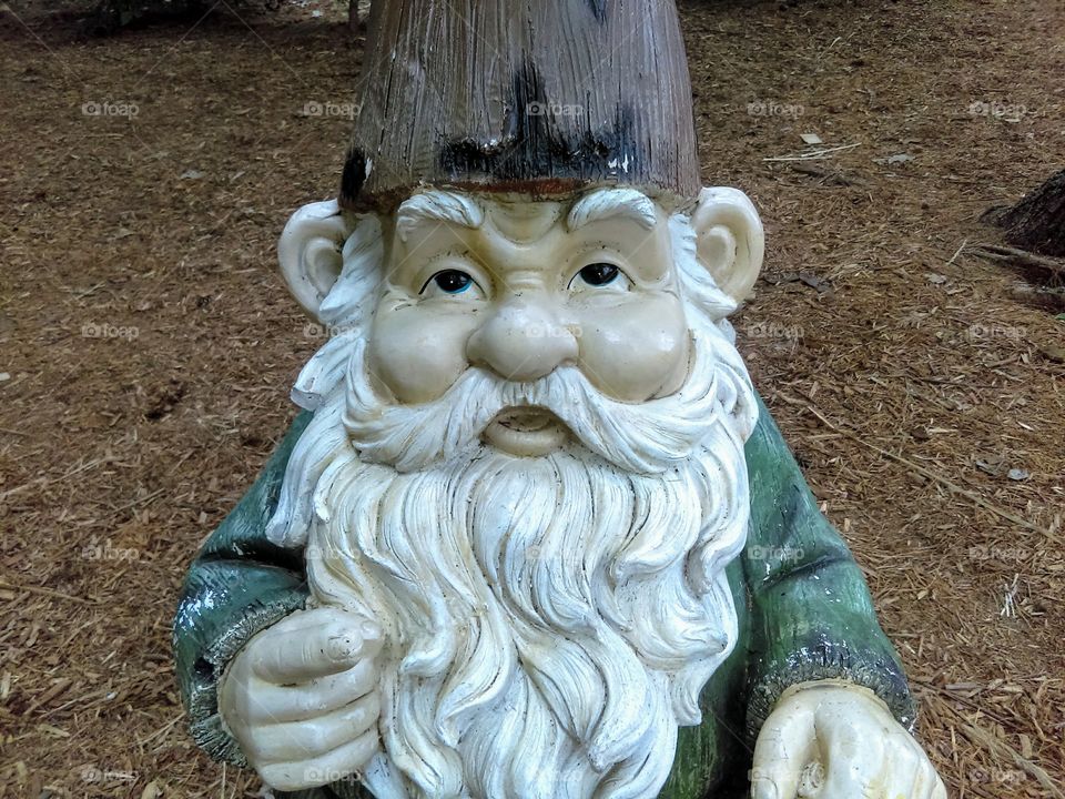 Gnome