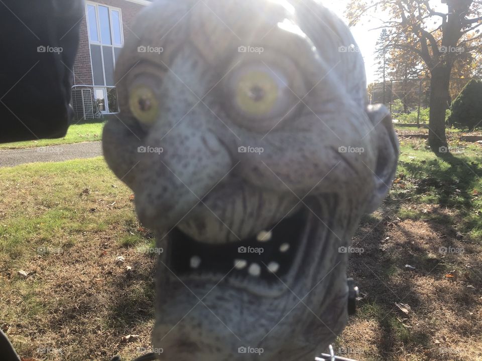 A scary witch face for Halloween