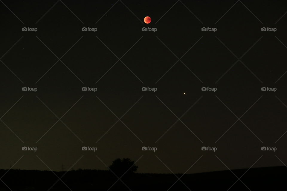 Blood Moon