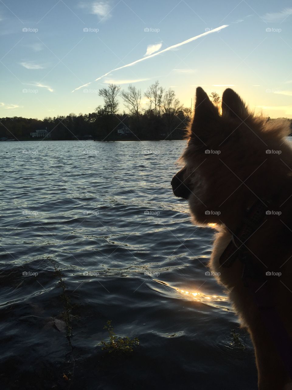 Looking out over the lake