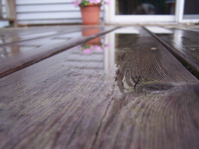 wood water rain reflection by ashley77