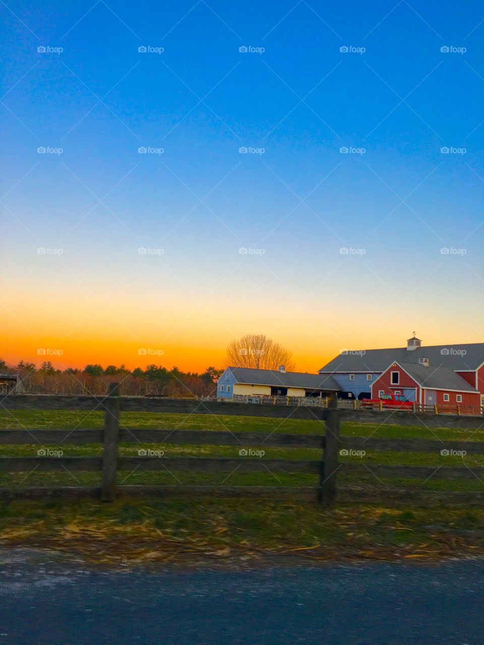 Sunset Farm
