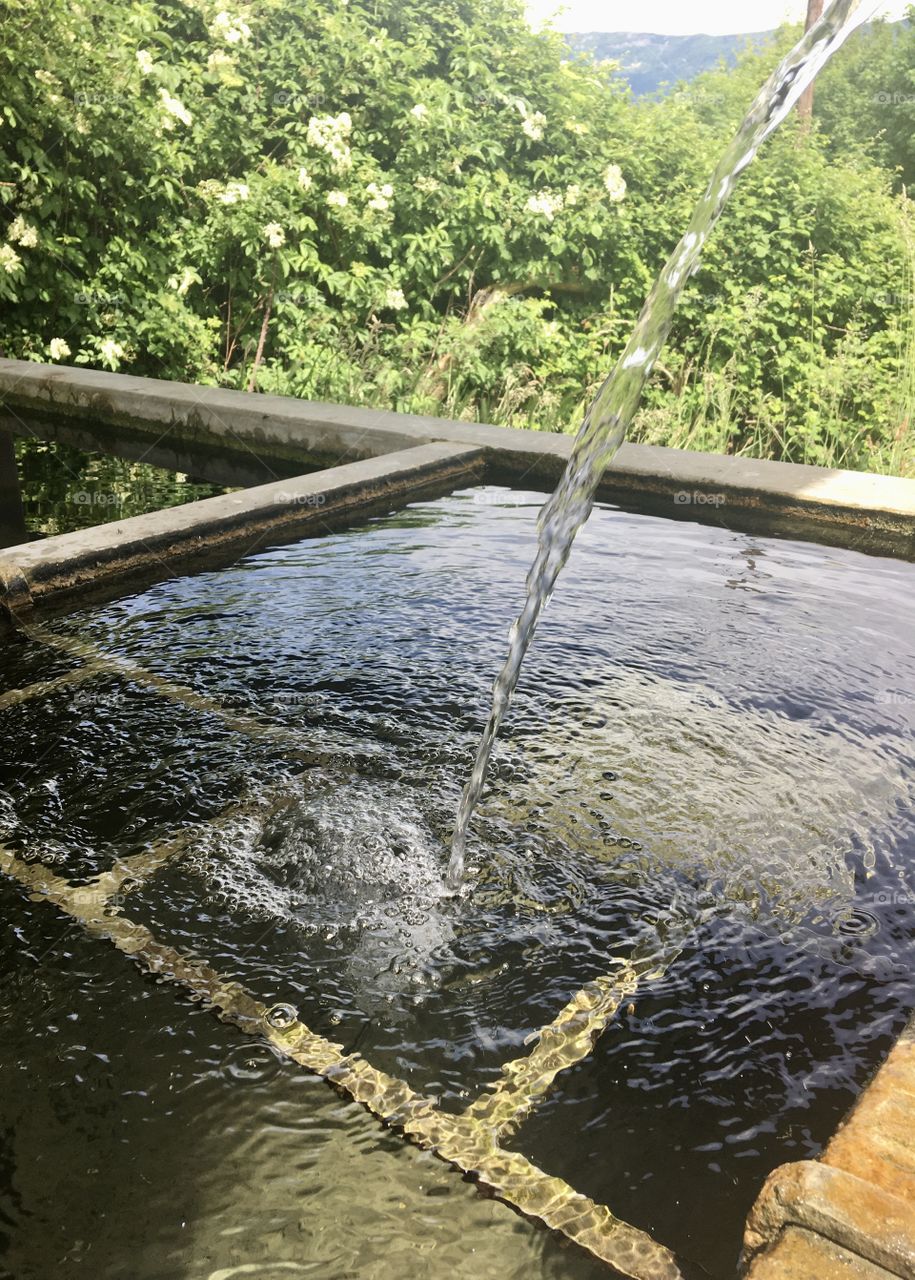 Water flowing in an old village wash-house