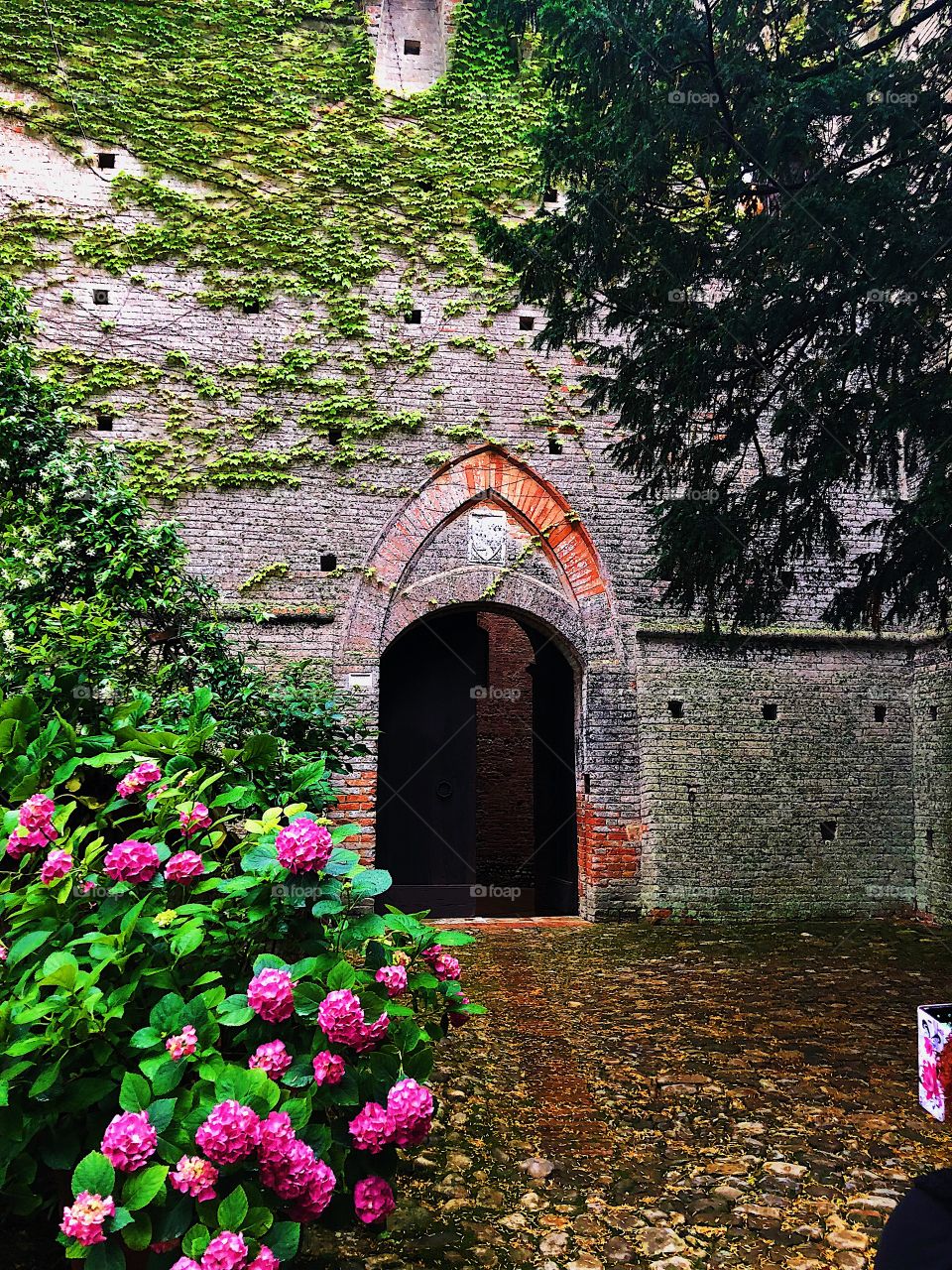 An inviting archway into a magical castle in the Tuscan countryside. 