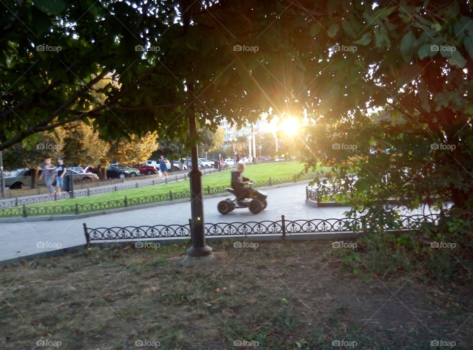 Парк машинки дети