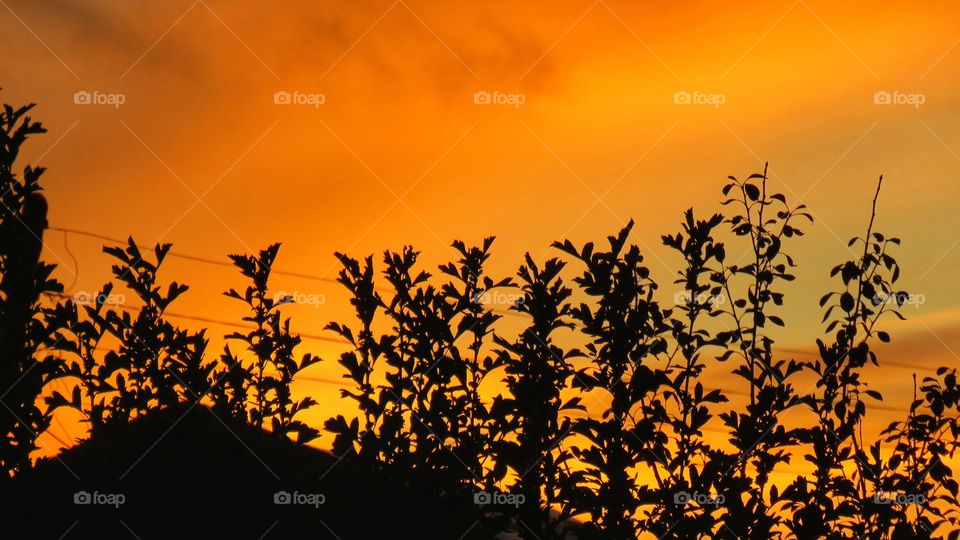 the evening sky over the Urals