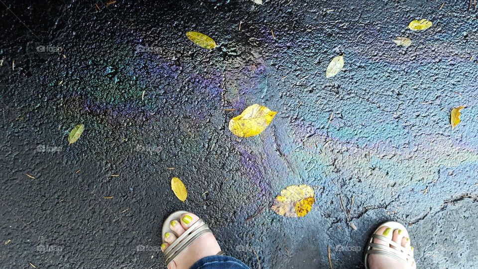 Grey asphalt glows with a slick of oil and festive fall leaves.