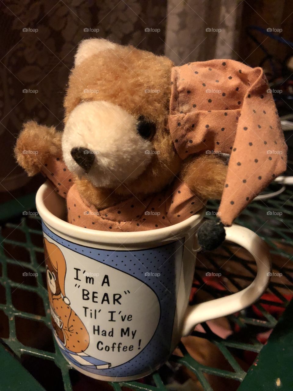 Bear in coffee mug