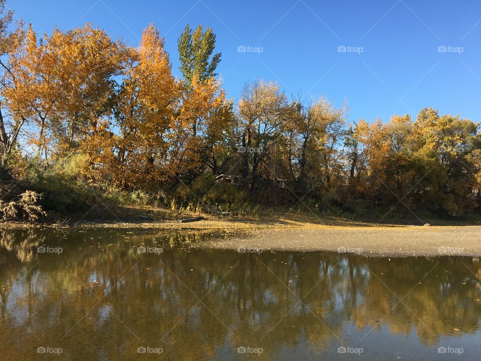 Beautiful fall reflection 