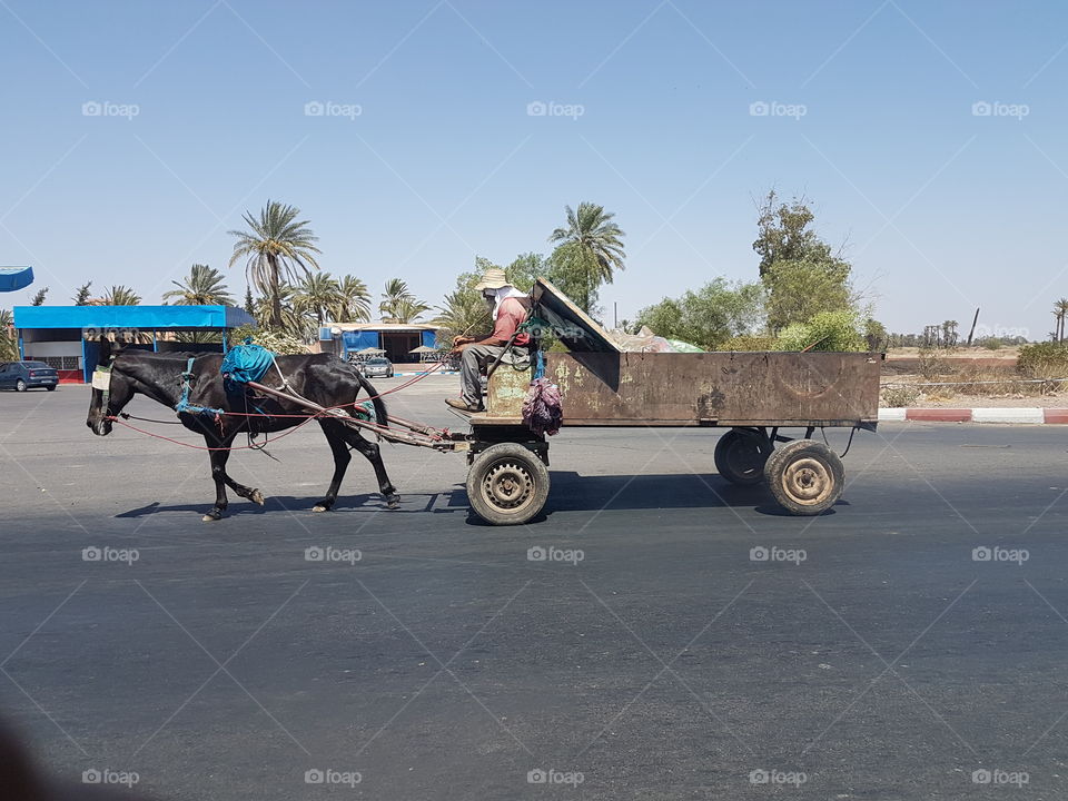 morning morocco