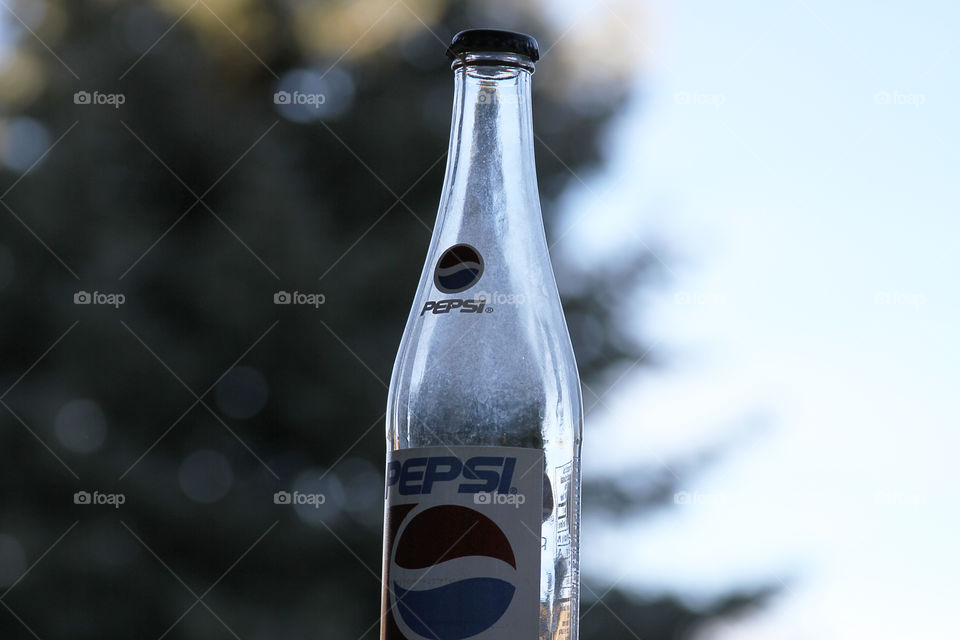 Pepsi bottle with tree