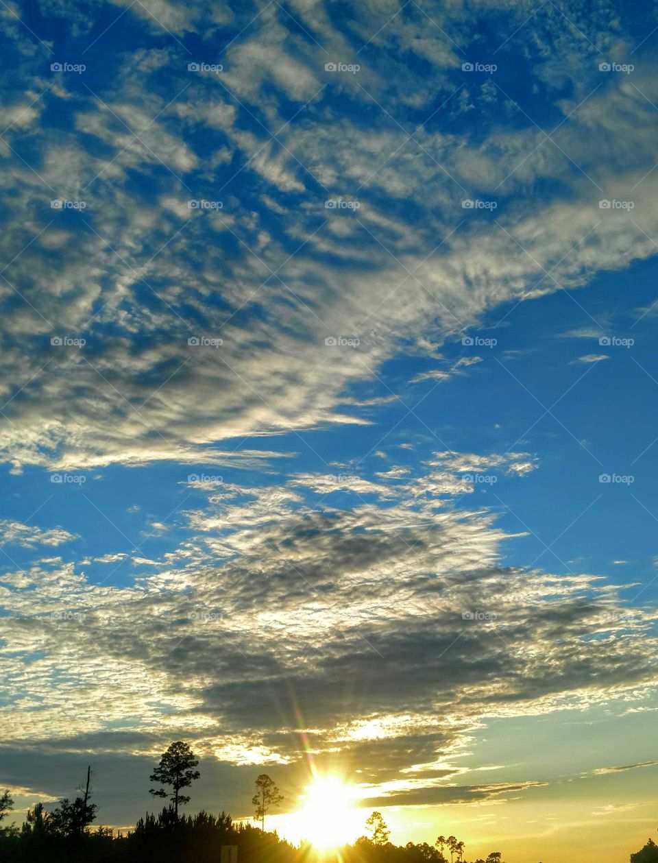 beautiful Florida sunset sky