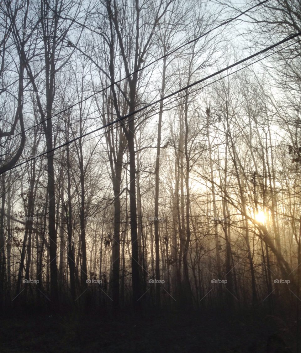 north carolina winter morning sun by indescribable