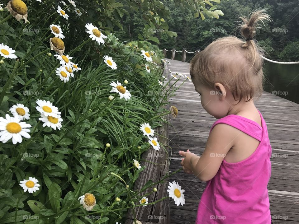 Flower picker