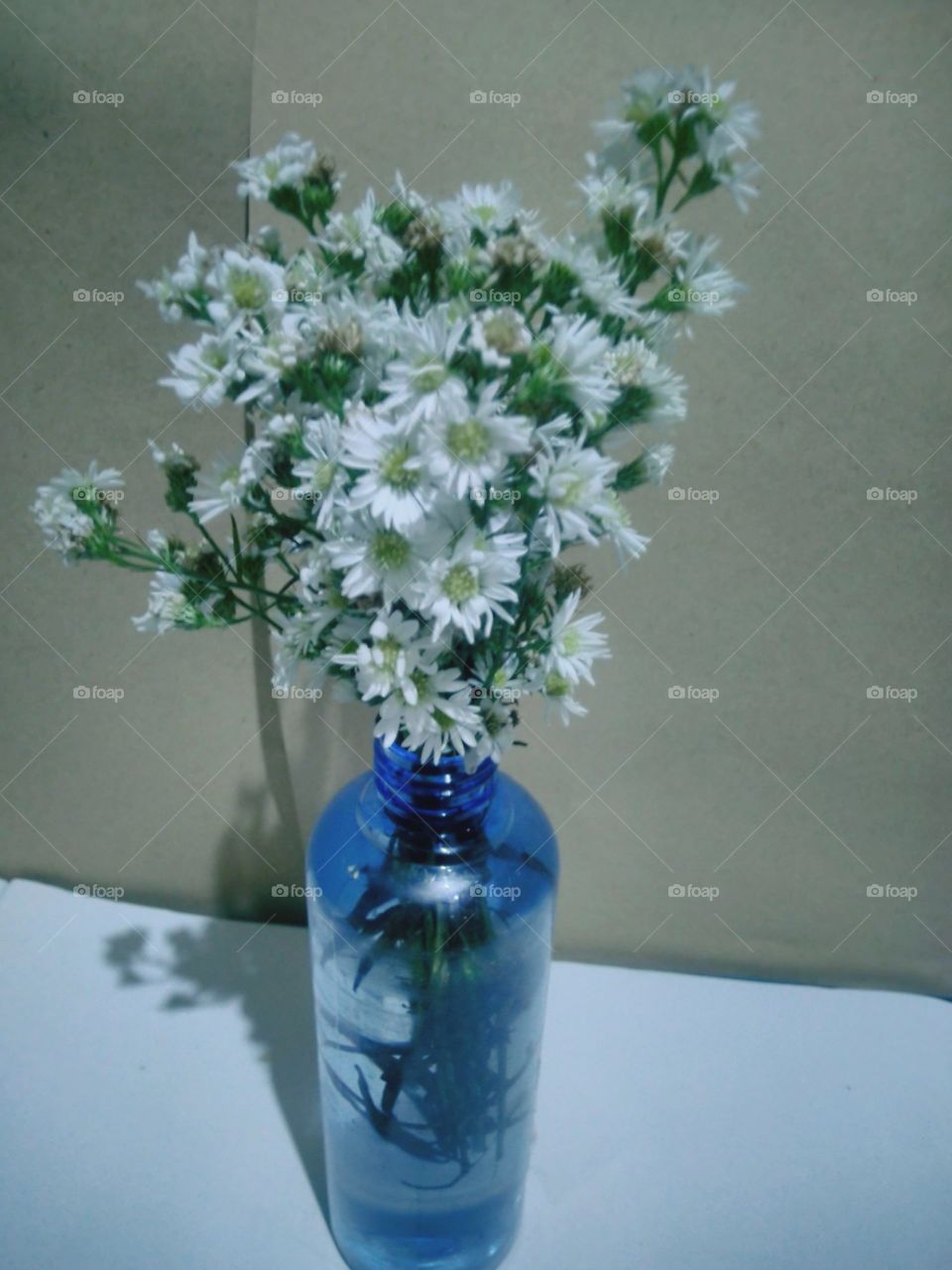 Flowers in bottle pots