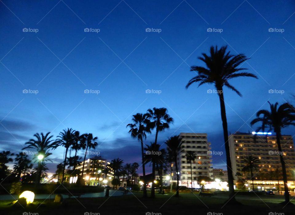 Palm trees and hotels