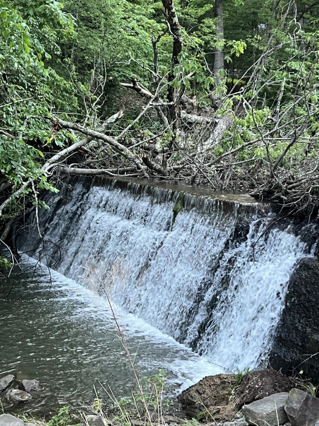 Waterfall 