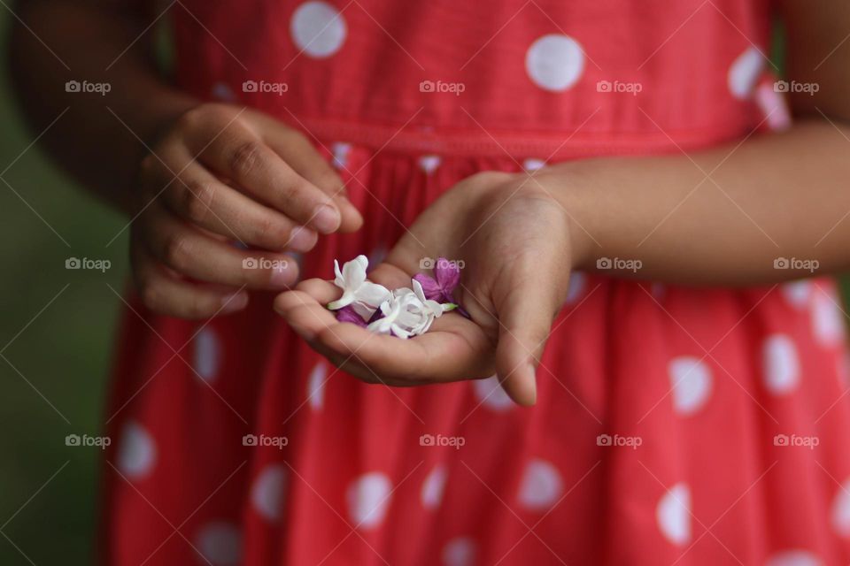 Making a wish: girl is holding 5-petal lilac flowers