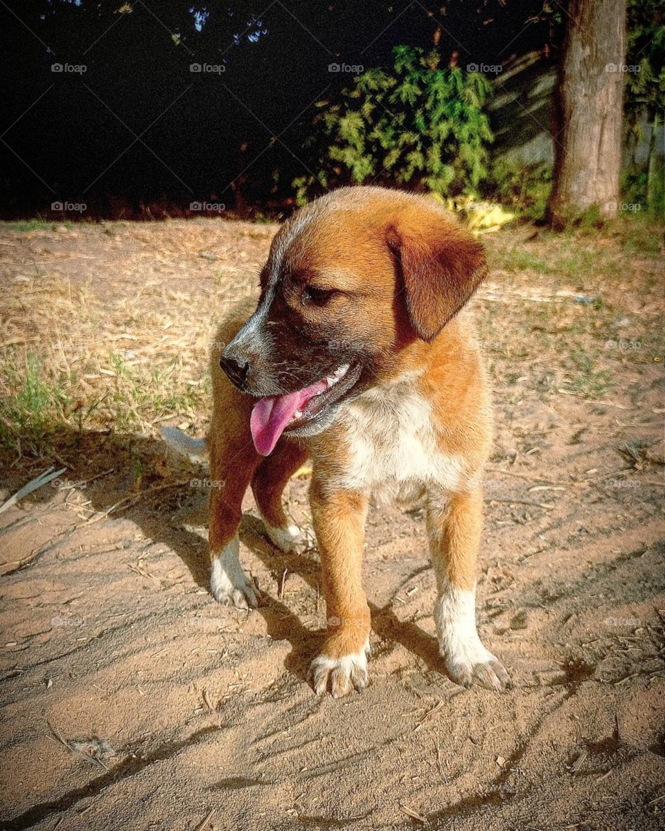 nature pictures  click by @divy.gahelot