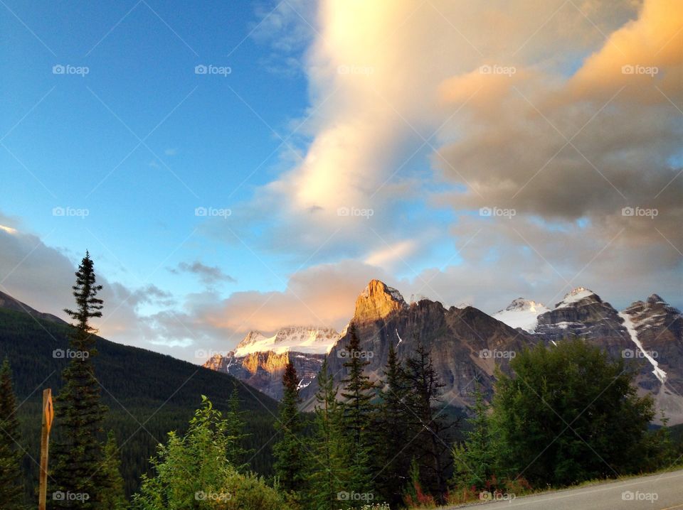 Scenic view of trees and mountains in forest