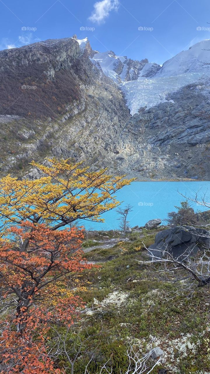 La majestuosidad de cada estación tiene una magia única . 